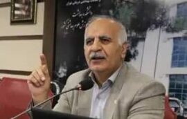 دکتر جواد رفیع‌نژاد به ریاست کمیته امور اقتصادی و ارتقای بهره‌وری اعضای هیأت علمی منصوب شد